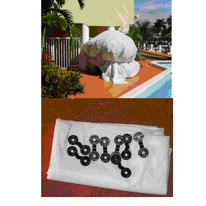 Cold Weather Palm Tree Blanket with tie down clasps